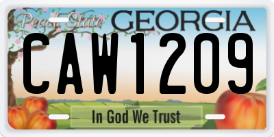 GA license plate CAW1209