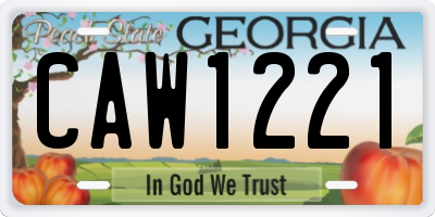 GA license plate CAW1221