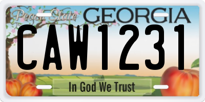 GA license plate CAW1231