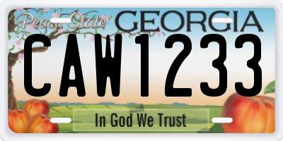 GA license plate CAW1233