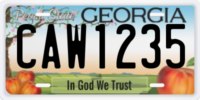 GA license plate CAW1235