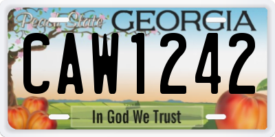 GA license plate CAW1242