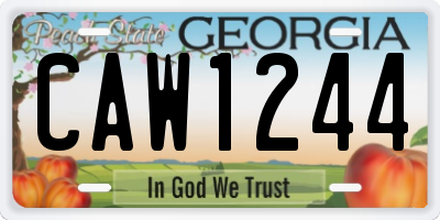 GA license plate CAW1244