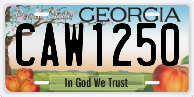 GA license plate CAW1250