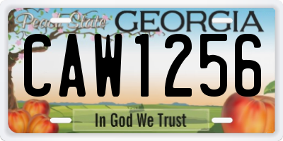 GA license plate CAW1256