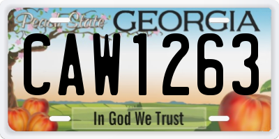 GA license plate CAW1263