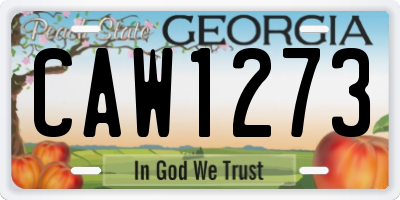 GA license plate CAW1273
