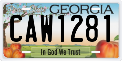 GA license plate CAW1281