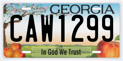 GA license plate CAW1299