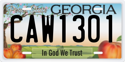 GA license plate CAW1301