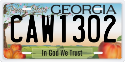 GA license plate CAW1302