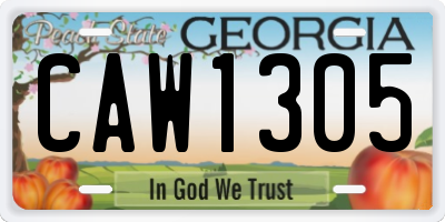 GA license plate CAW1305