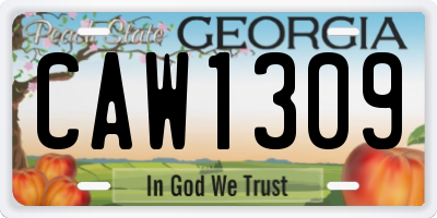 GA license plate CAW1309