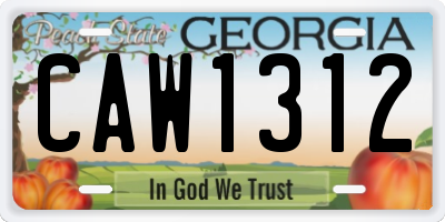 GA license plate CAW1312