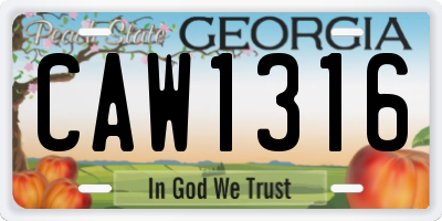 GA license plate CAW1316