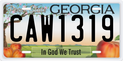 GA license plate CAW1319
