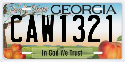 GA license plate CAW1321