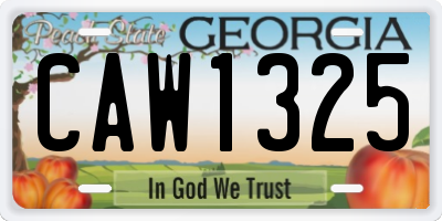 GA license plate CAW1325