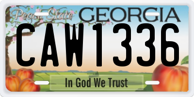 GA license plate CAW1336