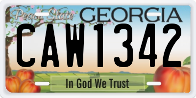 GA license plate CAW1342