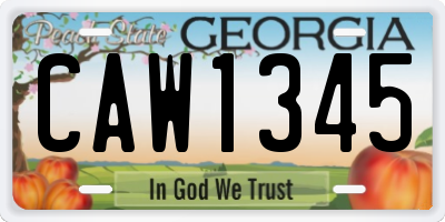 GA license plate CAW1345