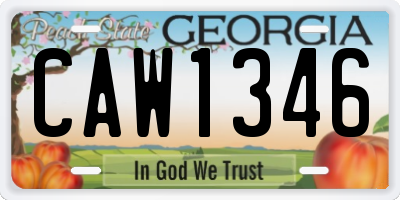 GA license plate CAW1346