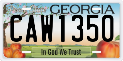 GA license plate CAW1350