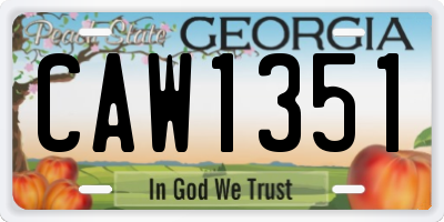 GA license plate CAW1351