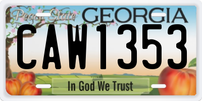 GA license plate CAW1353