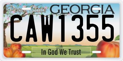GA license plate CAW1355