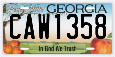 GA license plate CAW1358