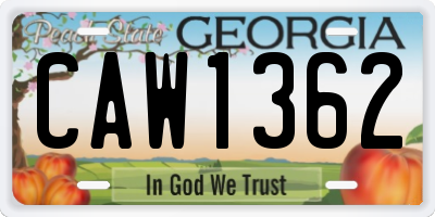 GA license plate CAW1362