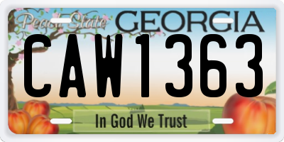 GA license plate CAW1363