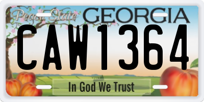 GA license plate CAW1364