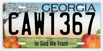 GA license plate CAW1367