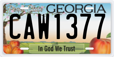 GA license plate CAW1377
