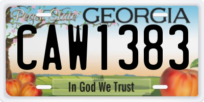 GA license plate CAW1383