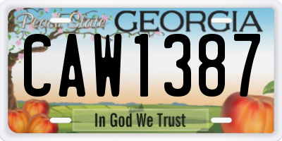 GA license plate CAW1387