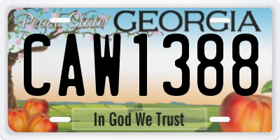 GA license plate CAW1388