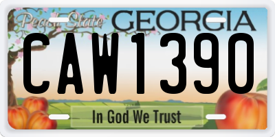 GA license plate CAW1390