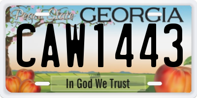 GA license plate CAW1443