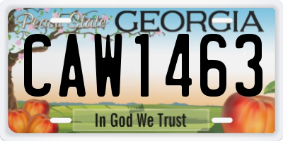 GA license plate CAW1463