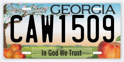 GA license plate CAW1509