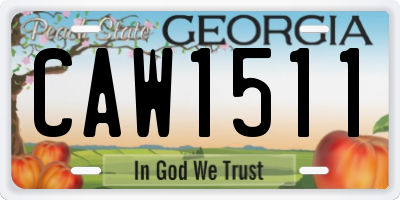 GA license plate CAW1511