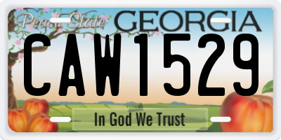 GA license plate CAW1529