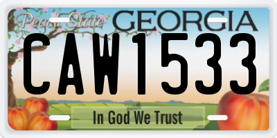 GA license plate CAW1533