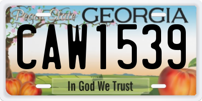 GA license plate CAW1539