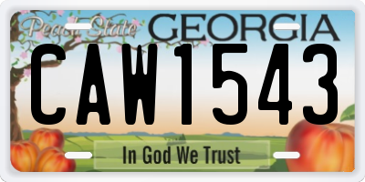 GA license plate CAW1543