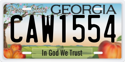 GA license plate CAW1554