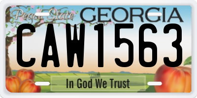 GA license plate CAW1563